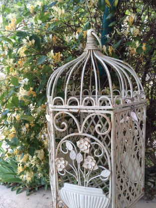 The detail of an old birdcage set against a highly-scented honeysuckle on the edge of the terrace
