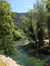 The vivid greens of Fontaine de Vaucluse