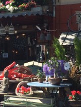 Red Croc, Purple sheep - it has to be Cote Parc pavement display