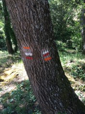 Reglar markings showing you are on the right track