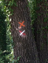 Markings showing the wrong way to go at a junction - the trail version of a no-entry sign