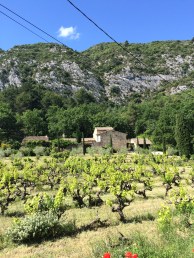 julies phone 260515 018