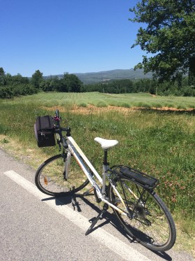 On route via the lanes between Roussillon & Gordes