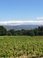 Cloud fringing the top of a distant Mont Ventoux