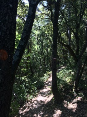 Walking up steep tracks on a hiking trail in the Luberon