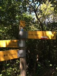 julies phone 260515 032