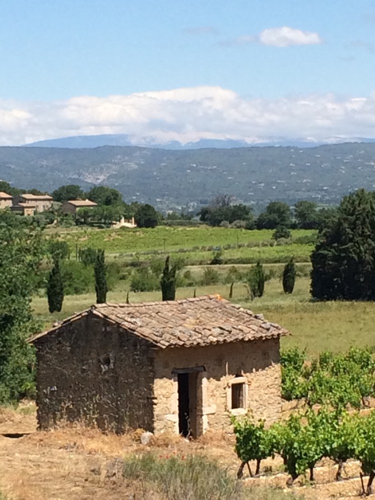 julies phone 260515 039