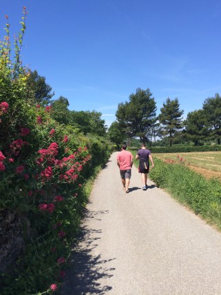 A more gentle walk back along the deserted cycle route