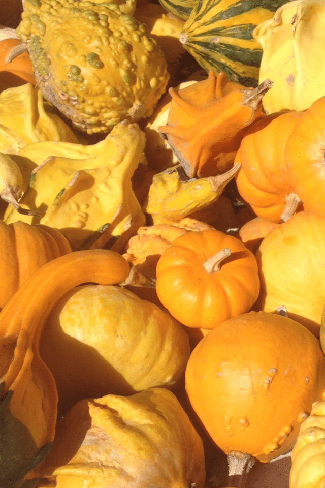 my phone august 14 215