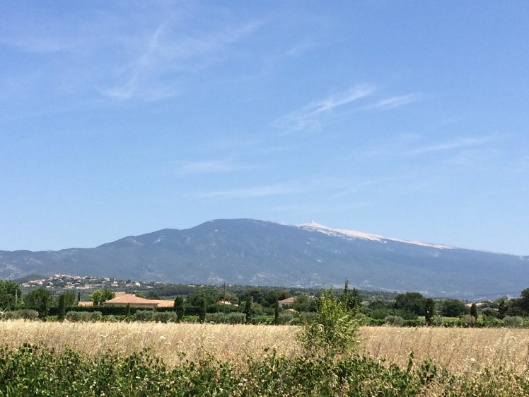 julies phone 1907 263