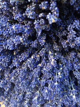 julies phone 070915 253