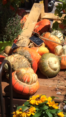 julies phone 070915 258