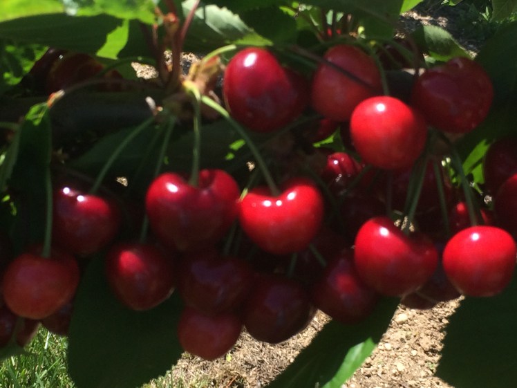 julie's phone 210515 034