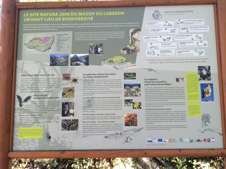 julies phone 260515 004